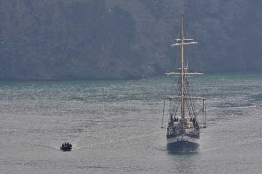 01 April 2021 - 09-23-19
A sight for sore, deprived eyes.  The last proper tall ship visitor photographed on TVFTDO was Wylde Swan in October 2019. Can you believe that ?
----------------
Tall ship Pelican of London arrives in Dartmouth